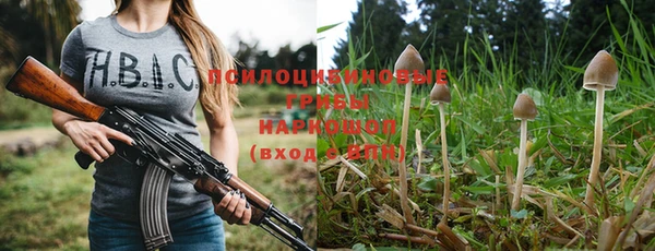 гашик Алексин